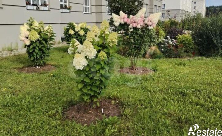 1-комн квартира ул Медовая, 7,  д. 7