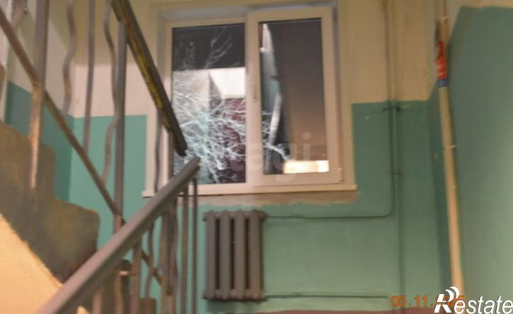 1-комн квартира посёлок Химинститута, 13