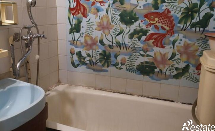 1-комн квартира посёлок Химинститута, 26