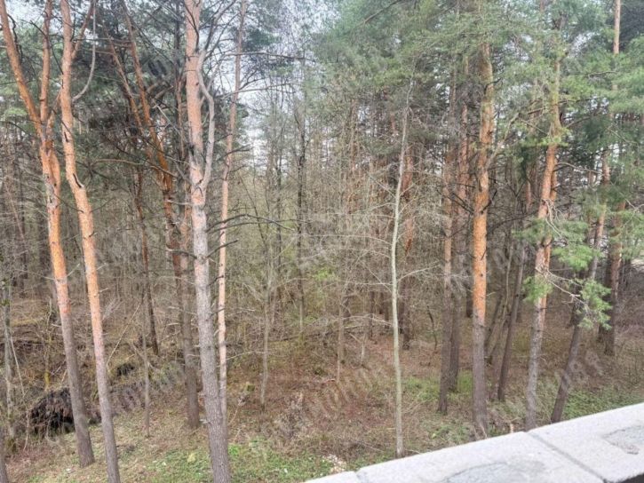 3-комн квартира Сахаровское ш, 4