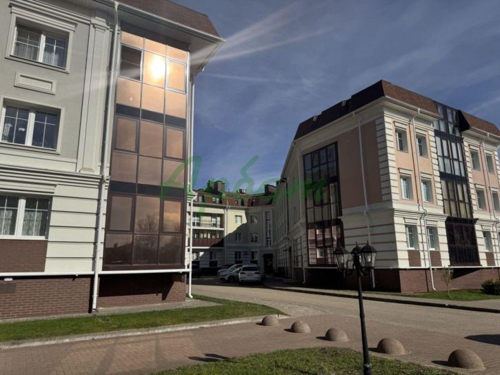 1-комн квартира Александра Невского 1-я ул, 10к19