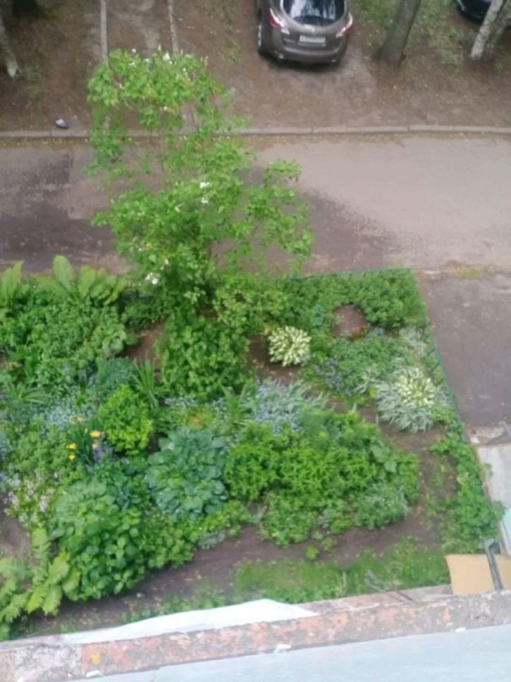 2-комн квартира Никитина пер, 7