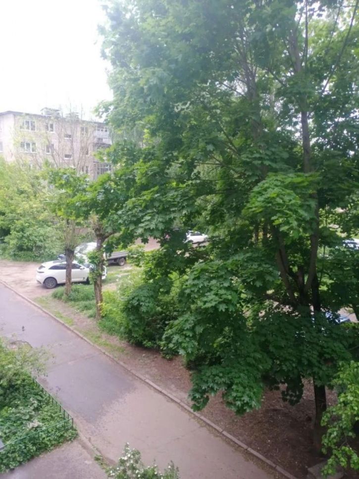 2-комн квартира Никитина пер, 7