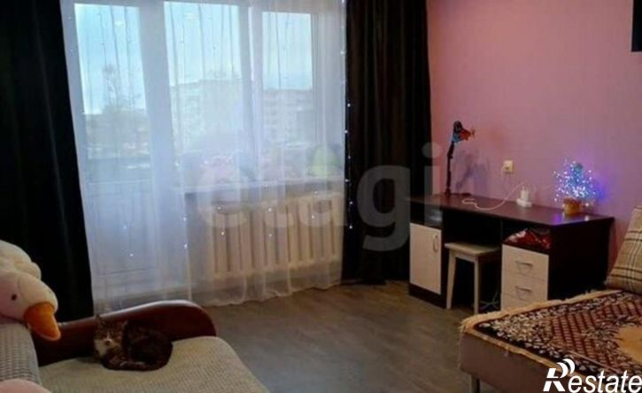 2-комн квартира посёлок Литвинки, 25