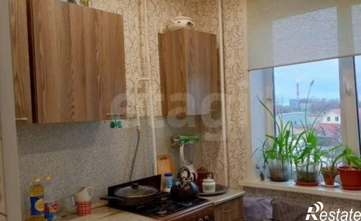 2-комн квартира посёлок Литвинки, 25
