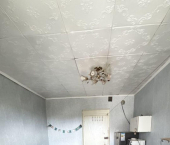 комната 35 кв м посёлок Химинститута, 57