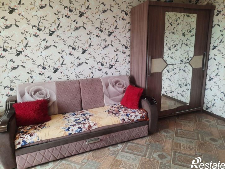 1-комн квартира посёлок Литвинки, 23