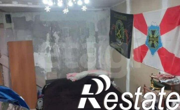 2-комн квартира деревня Большие Перемерки, 22А